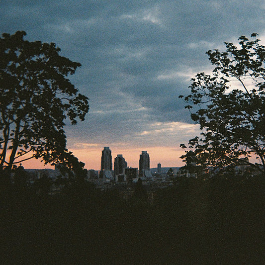 They Fall, But You Don't |