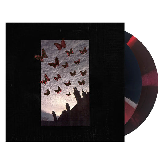 Are We Really Happy With Who We Are Right Now? [Black/Grey/Red Merge] [2LP] |