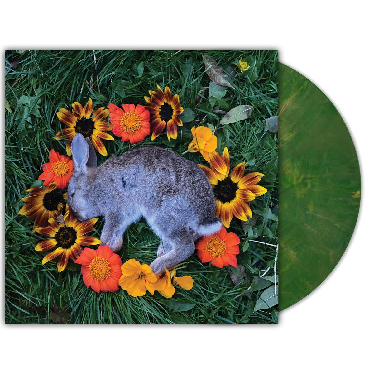 Monolord - Your Time To Shine [Copper Emerald Vinyl] |