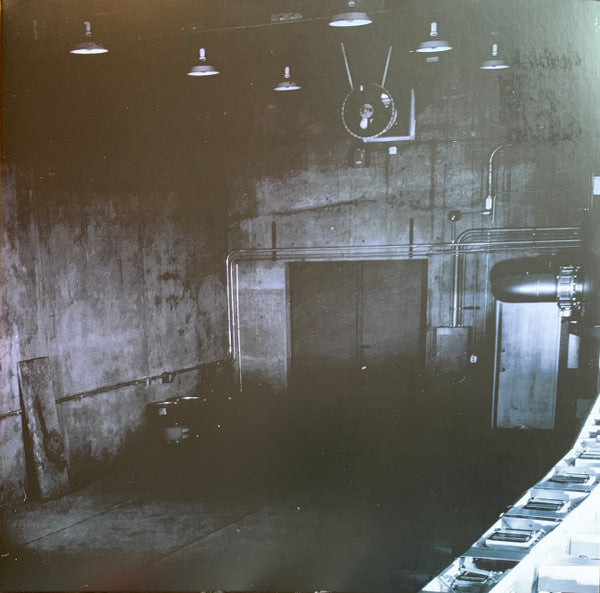 Cosmos | Mint (M) Mint (M) - AMBIENT *COLOR*