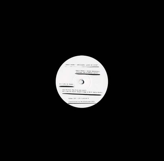 NANCY WHANG & AUDIOJACK - Like an Eagle |
