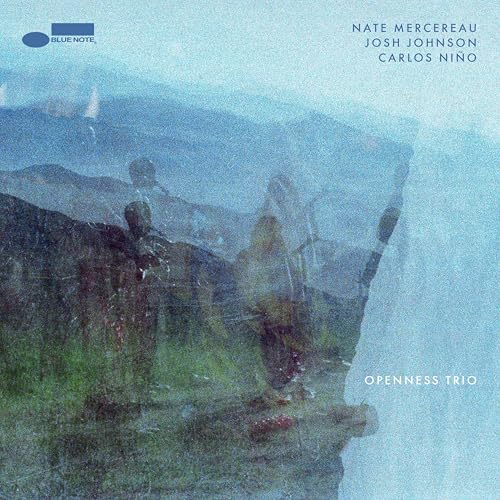 Openness Trio [180G Lp] |