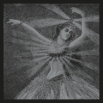 The Collected Works Of Neutral Milk Hotel (BOXSET) | Mint (M) Mint (M)