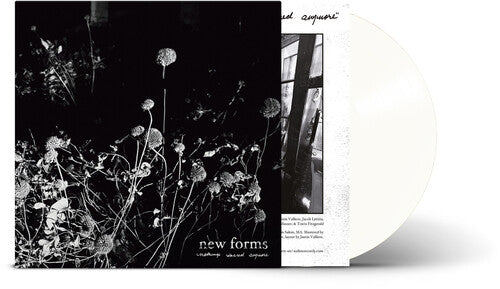 New Forms - Nothing'S Sacred Anymore [Clear Vinyl] |