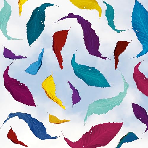 True Faith Remix (2023 Remaster) | Mint (M) Mint (M) - NEW WAVE/POST-PUNK