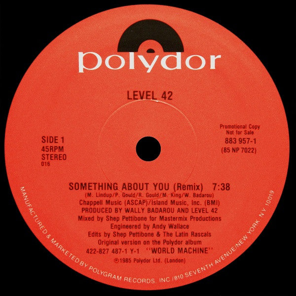 Something About You (Remix) | Mint (M) Generic