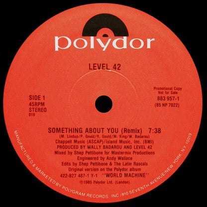 Something About You (Remix) | Mint (M) Generic