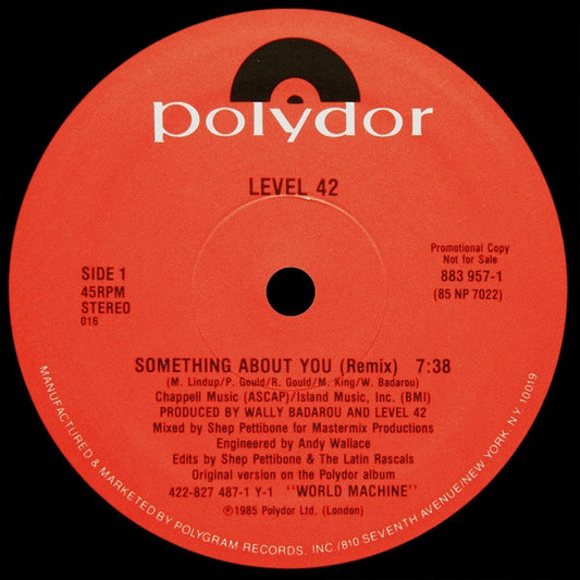 Something About You (Remix) | Mint (M) Generic
