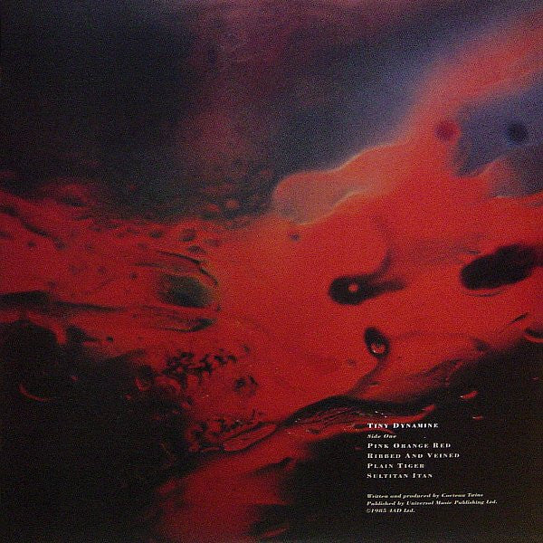 Tiny Dynamine / Echoes In A Shallow Bay | Mint (M) Mint (M) - NEW WAVE/POST-PUNK *NEW*