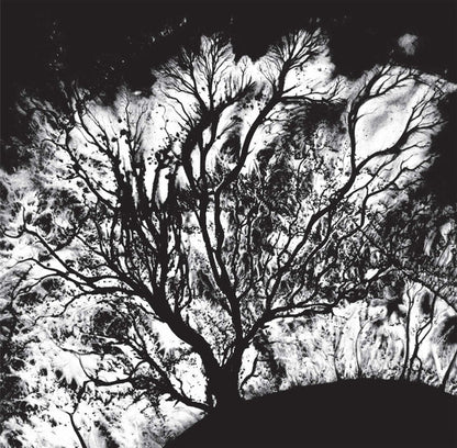The Serpent's Egg | Mint (M) Mint (M) - NEW WAVE/POST-PUNK