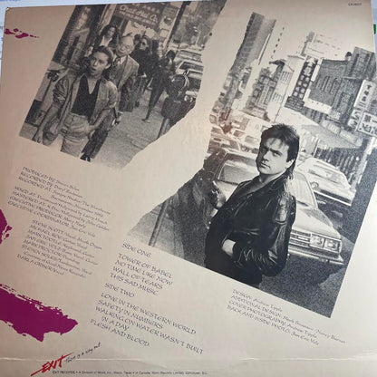 Love In The Western World (VINYL) | Excellent+ (EX+) Excellent (EX) - NEW WAVE / USED *EXCELLENT+*