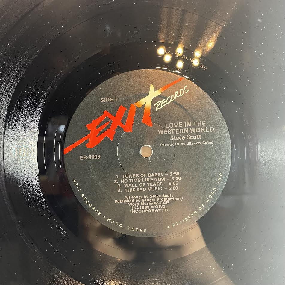 Love In The Western World (VINYL) | Excellent+ (EX+) Excellent (EX) - NEW WAVE / USED *EXCELLENT+*