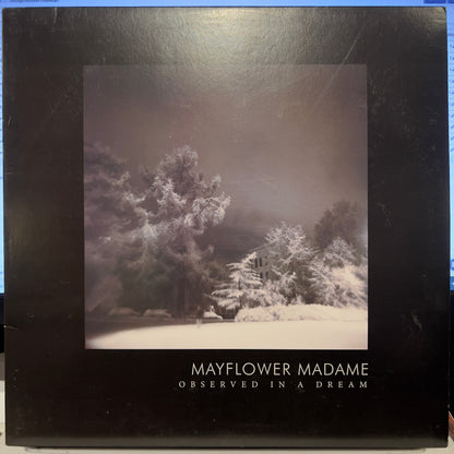 Mayflower Madame - Observed In A Dream | Near Mint (NM) Near Mint (NM) - NEW WAVE / USED *NEAR MINT*