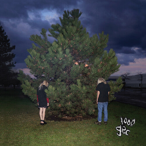 100 GECS - 100 GECS 1000 GECS (CD) NEW | NEW - NEW