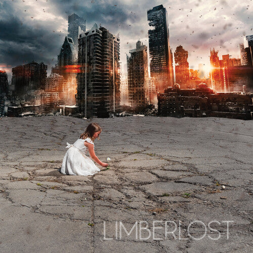 LIMBERLOST - LIMBERLOST GOOD FIGHT (CD) NEW | NEW - NEW