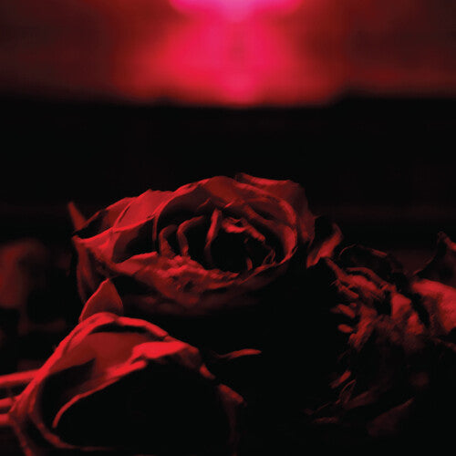 PAPER KITES - PAPER KITES ROSES (CD) NEW | NEW - NEW