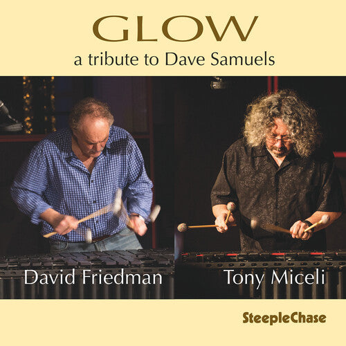 FRIEDMAN,DAVID - FRIEDMAN,DAVID GLOW (CD) NEW | NEW - NEW