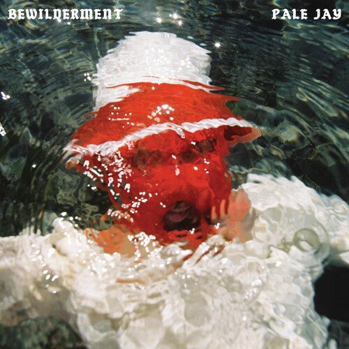 PALE JAY - PALE JAY BEWILDERMENT (CD) NEW | NEW - NEW