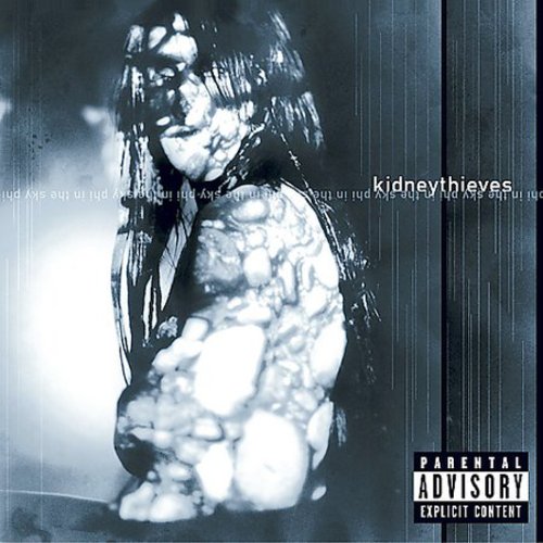 KIDNEYTHIEVES - KIDNEYTHIEVES PHI IN THE SKY (CD) NEW | NEW - NEW
