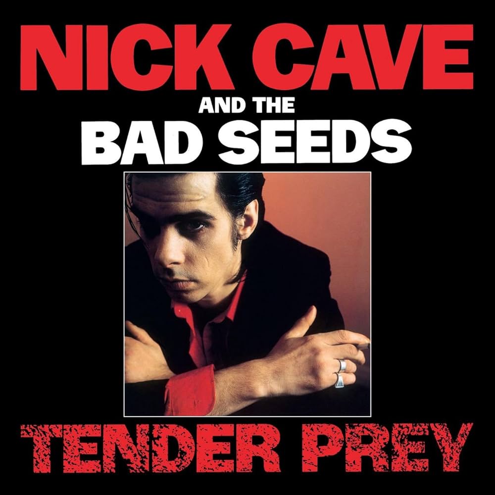 Tender Prey [CD] |