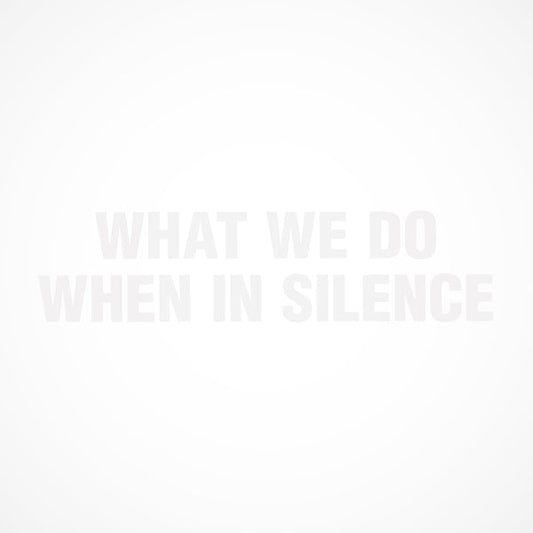 Nicola Ratti/Alessandra Novaga/Enrico Malatesta - What We Do When In Silence [LP] |