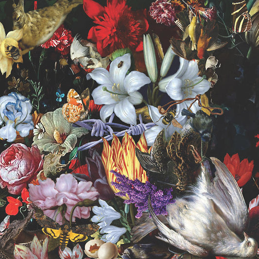 Nightingales - Perish The Thought |