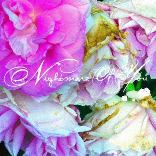 Nightmare Of You |