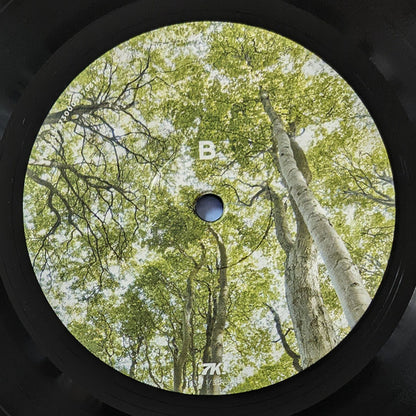 Oceanic | Mint (M) Mint (M) - AMBIENT *SEALED*