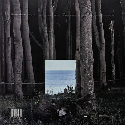 Oceanic | Mint (M) Mint (M) - AMBIENT *SEALED*
