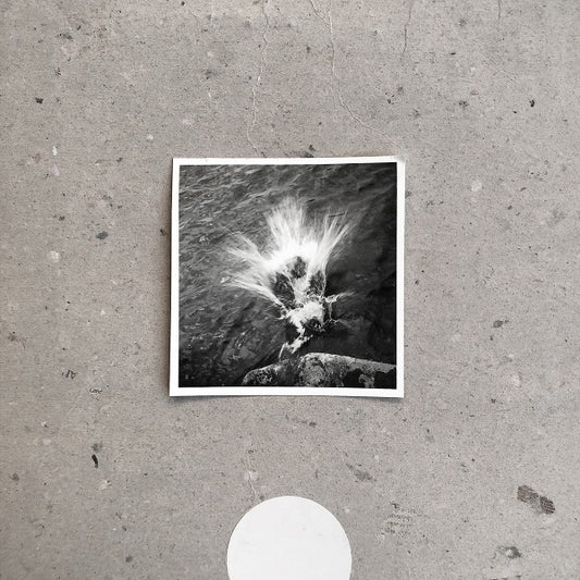 Empty | Mint (M) Mint (M) - AMBIENT
