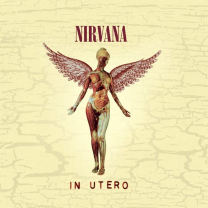 IN UTERO (20TH ANNIVERSARY EDITION) |
