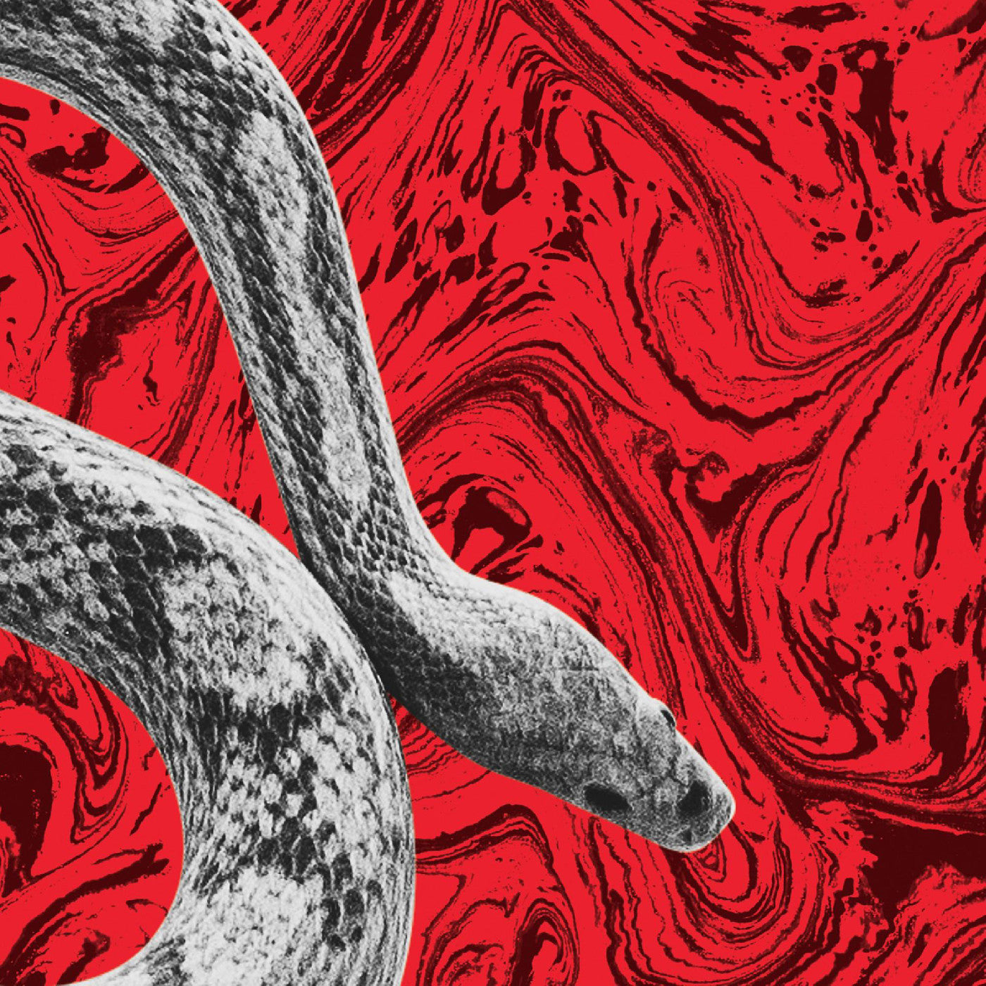 California/All Your Love |