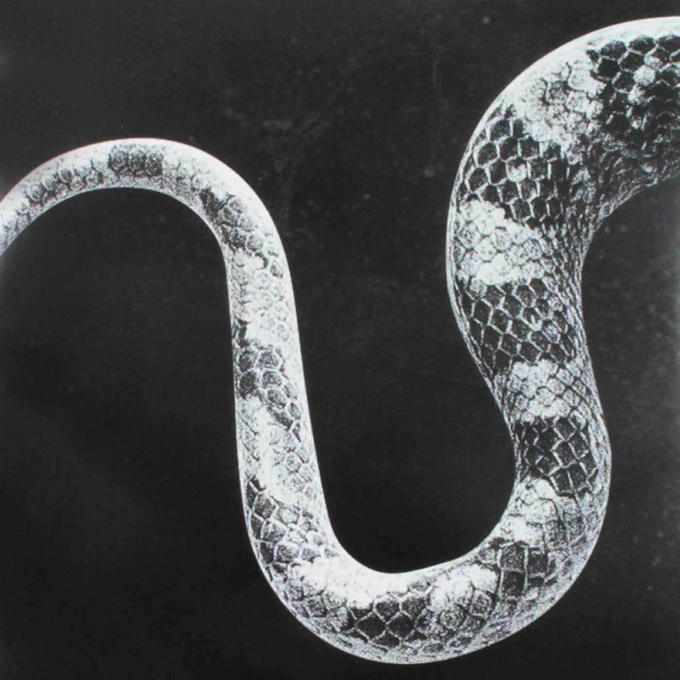 Sentimental Kids/Last Of The Leavers |