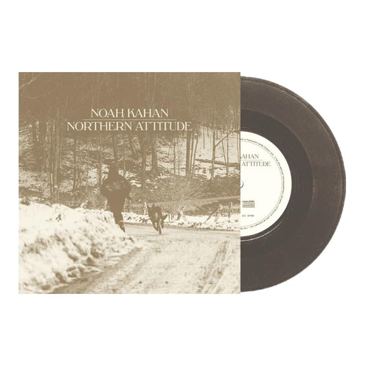 Northern Attitude (Black Ice Colored Vinyl with Poster) (7" Single) [Import] |