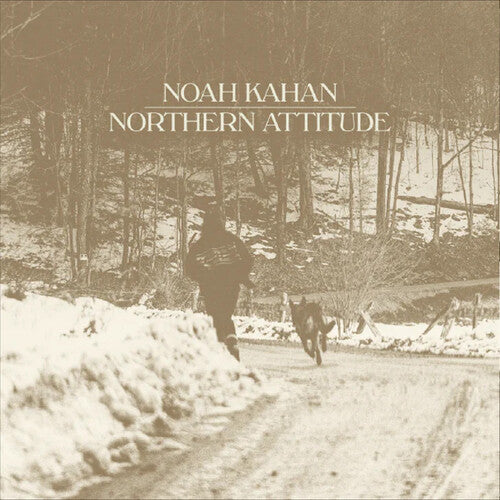 Northern Attitude (Black Ice Colored Vinyl with Poster) (7" Single) [Import] |