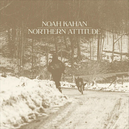 Northern Attitude (Black Ice Colored Vinyl with Poster) (7" Single) [Import] |