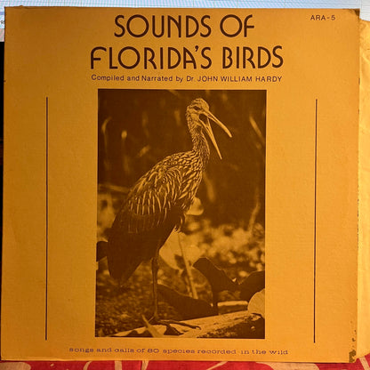 Sounds Of Florida's Birds | Very Good Plus (VG+) Excellent (EX)