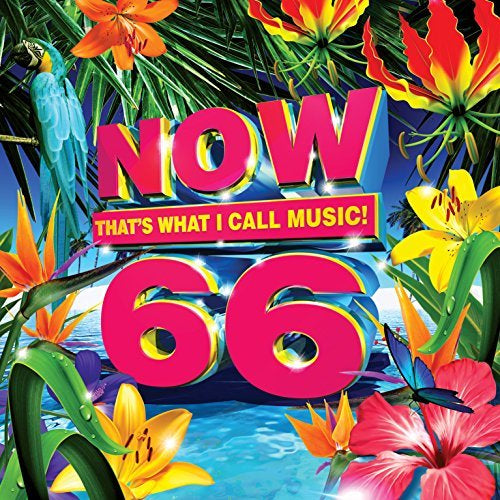 Now 66 / Various |
