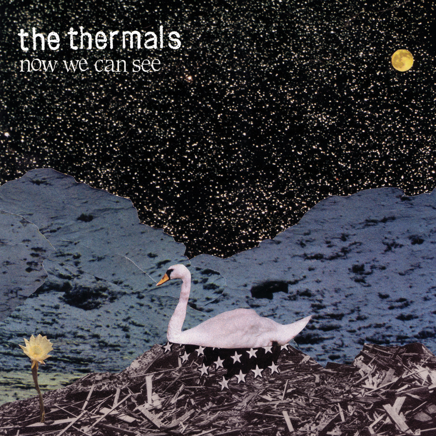 Thermals, The - Now We Can See (CD) |
