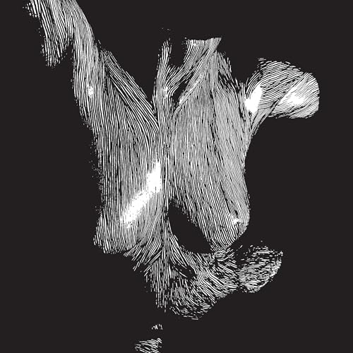 Self Preserved While The Bodies Float Up (15Th Anniversary) [3Lp] |