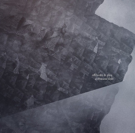 A Thousand Fields | Mint (M) Mint (M) - AMBIENT *SEALED*