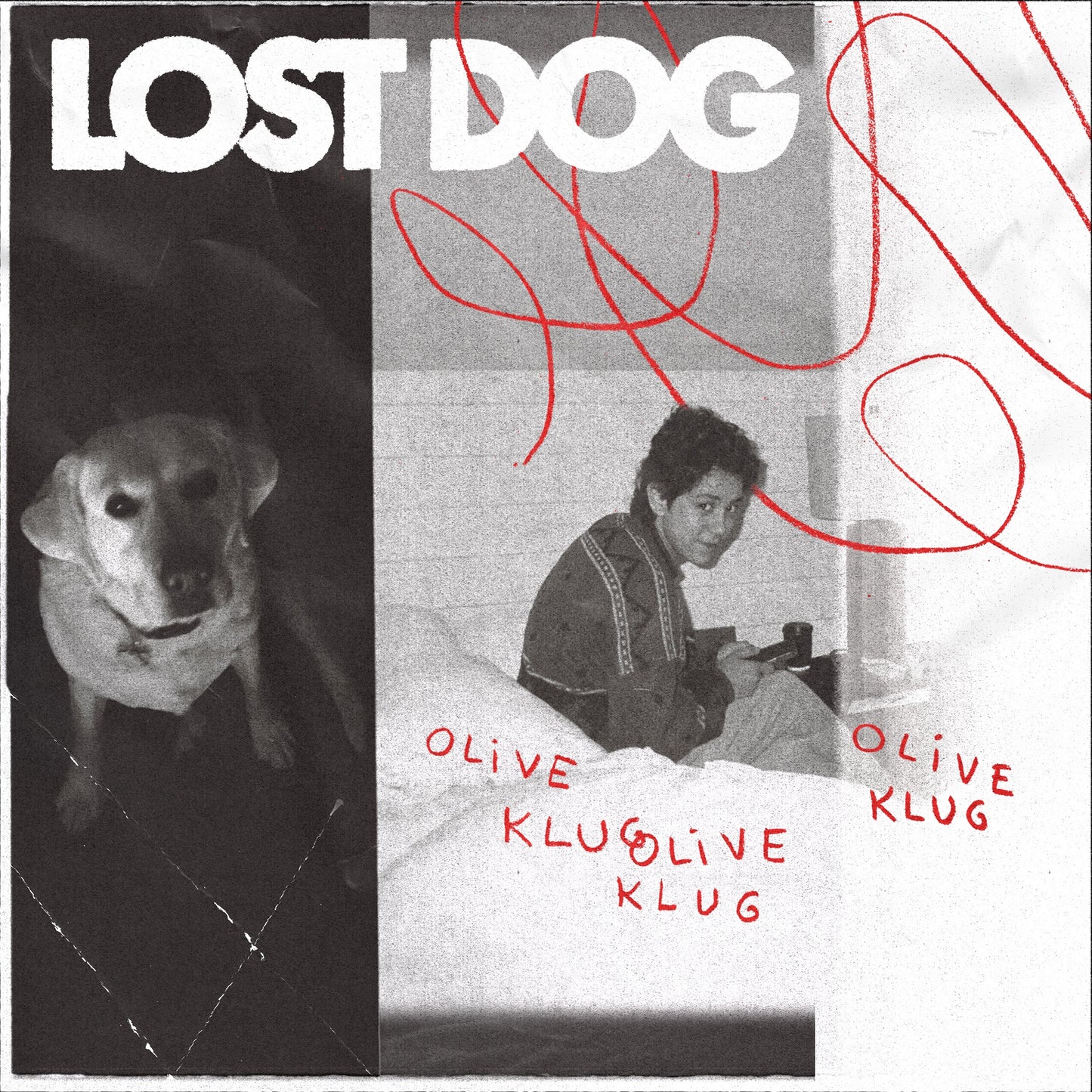 Lost Dog |