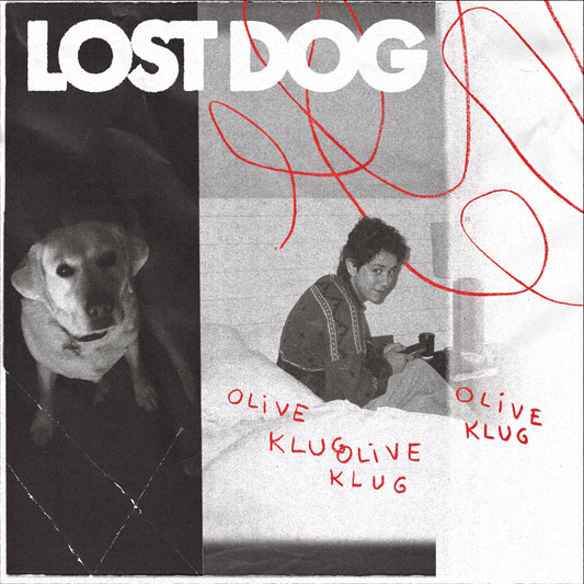 Lost Dog |