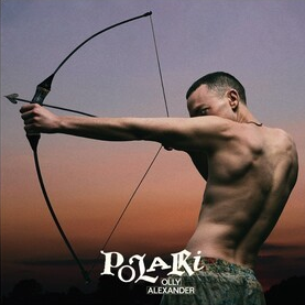 Polari (Indie Exclusive, Transparent Purple Colored Vinyl, Limited Edition, Poster) |