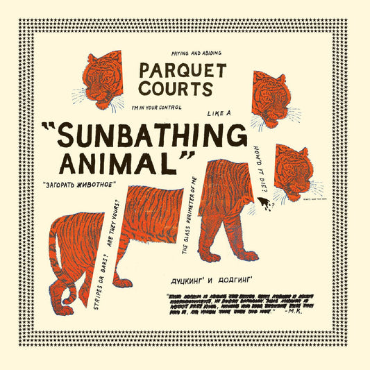 SUNBATHING ANIMAL + CONTENT NAUSEA |