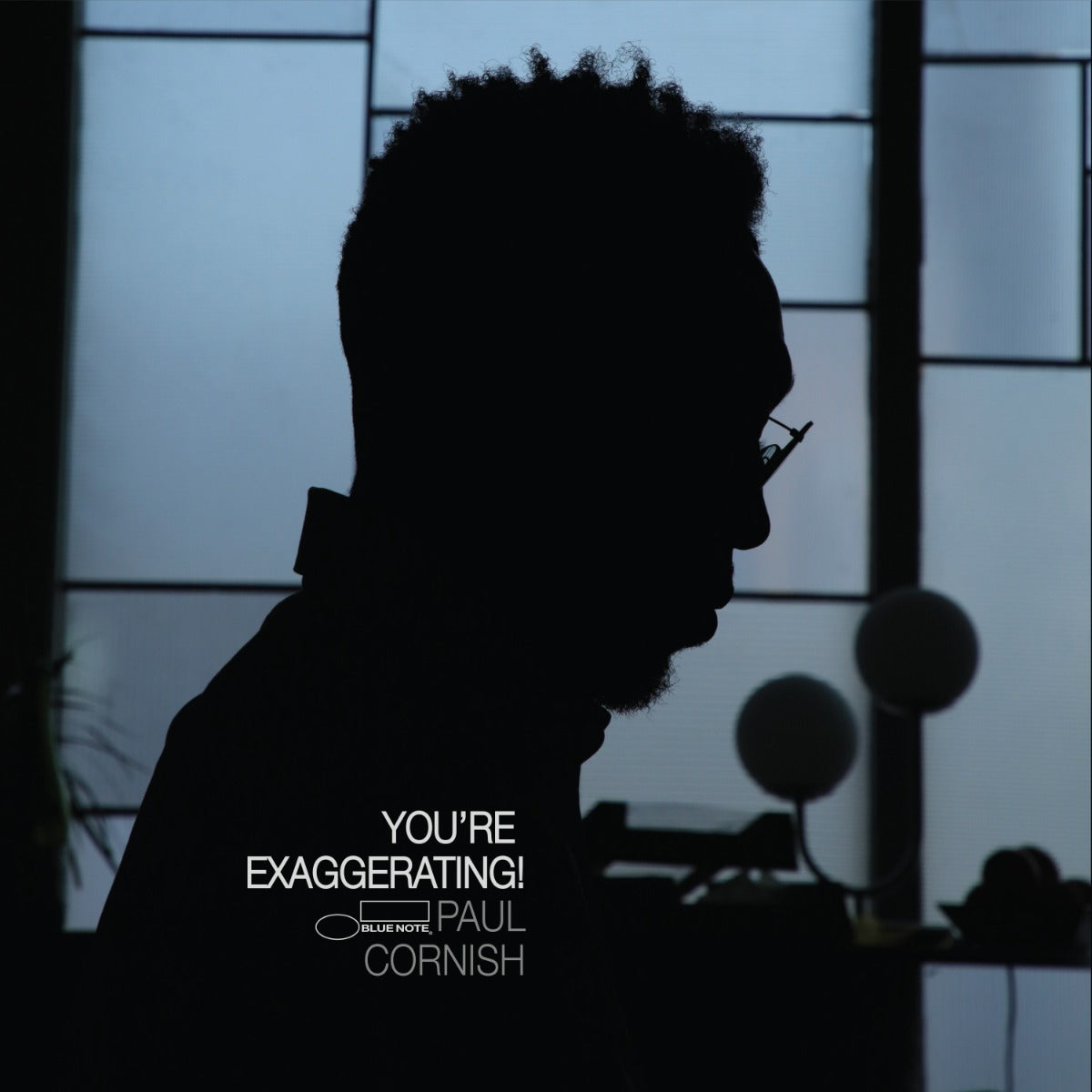 You'Re Exaggerating! [180G Lp] |