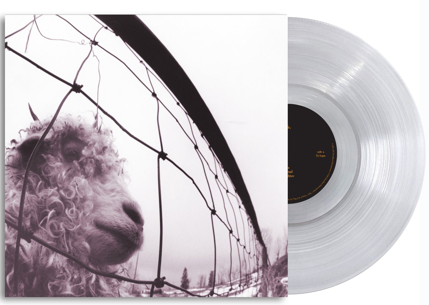 Vs. (Clear Vinyl) |
