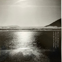 Pelican (2) Australasia Thrill Jockey 2xLP, Album Mint (M) Mint (M)