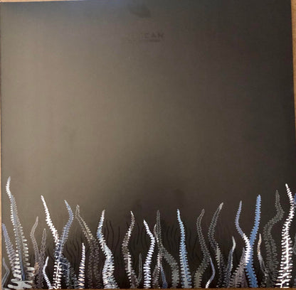 City Of Echoes | Mint (M) Mint (M) - POST ROCK *COLOR*