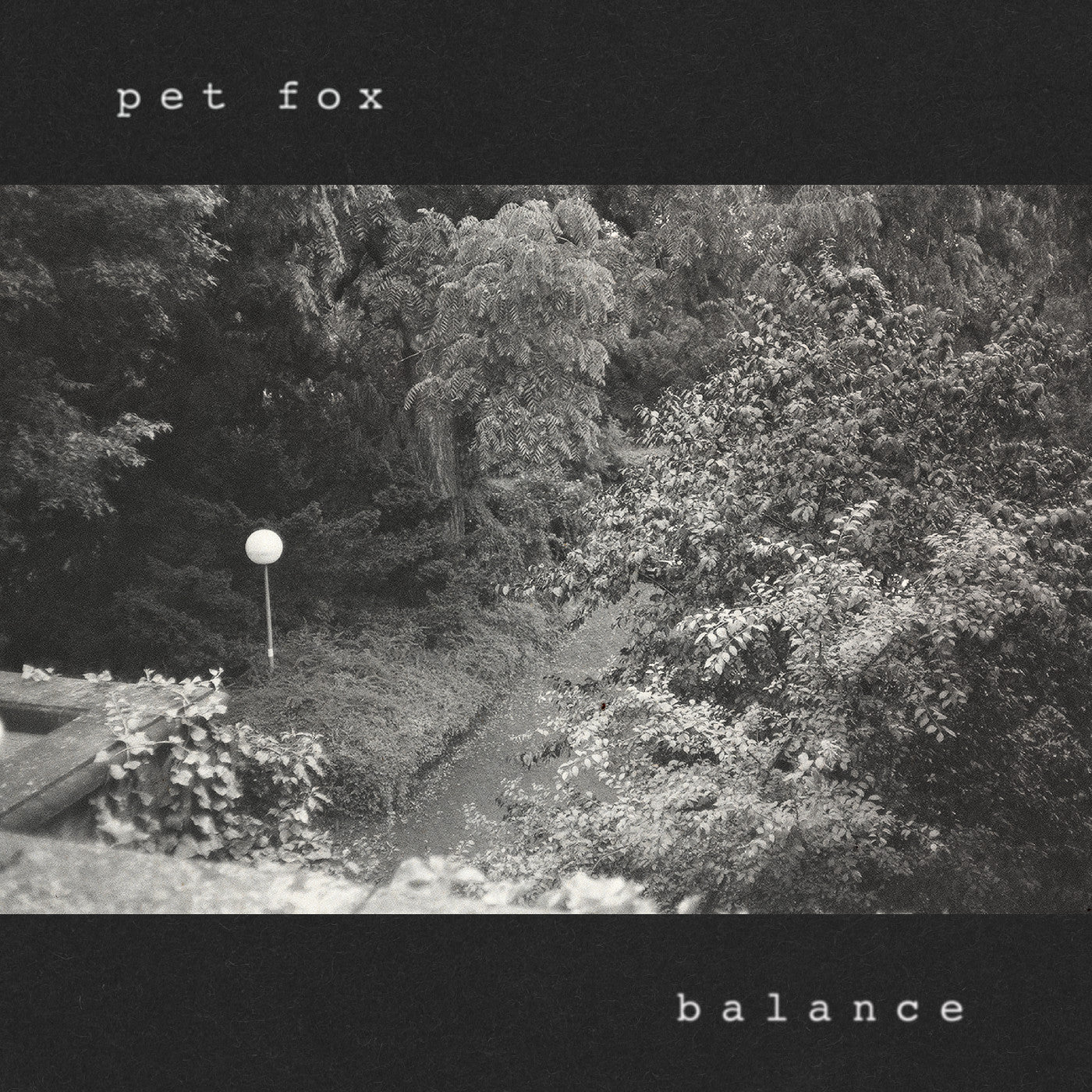 Pet Fox - Balance (Cobweb Colored Vinyl) |